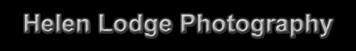 Helen Lodge Photography